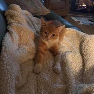 Meet your Posher, Frances